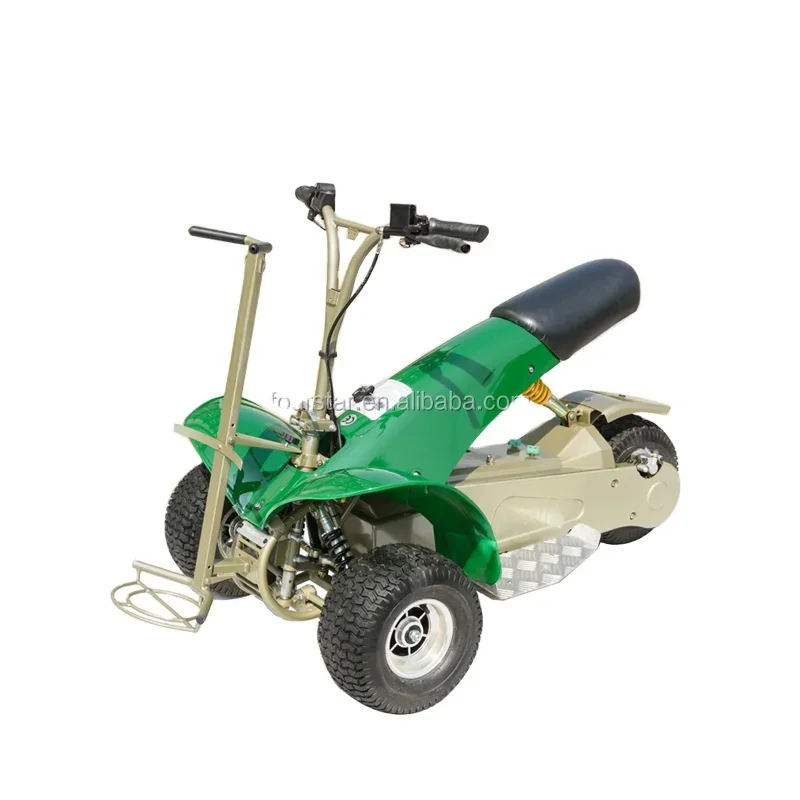 Electric Golf Trolley - Golf Trolley Model [Insert Model Number]