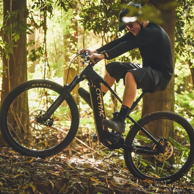 Bicicleta eléctrica EM10 con cuadro de fibra de carbono y suspensión total de 29 pulgadas.