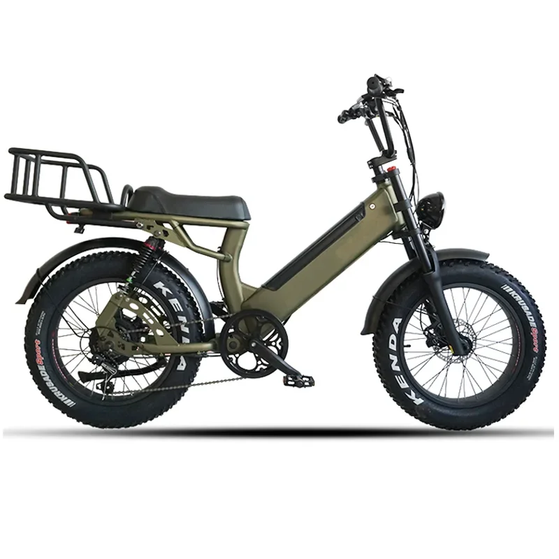 ANLOCHI 2022 Style Elektrisches Lastenrad - 20"-Aluminiumfelgen, 2 Räder, Vollfedergabel