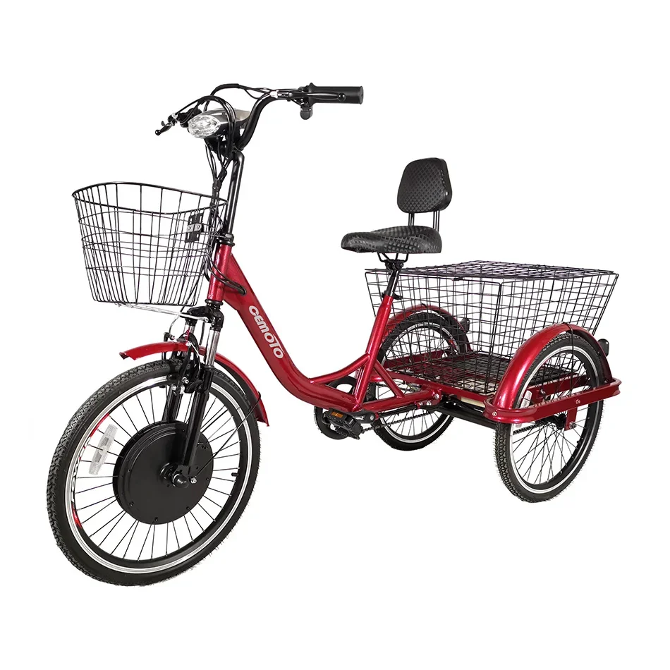 Tricycle électrique cargo familial 500W à 3 roues pour adultes