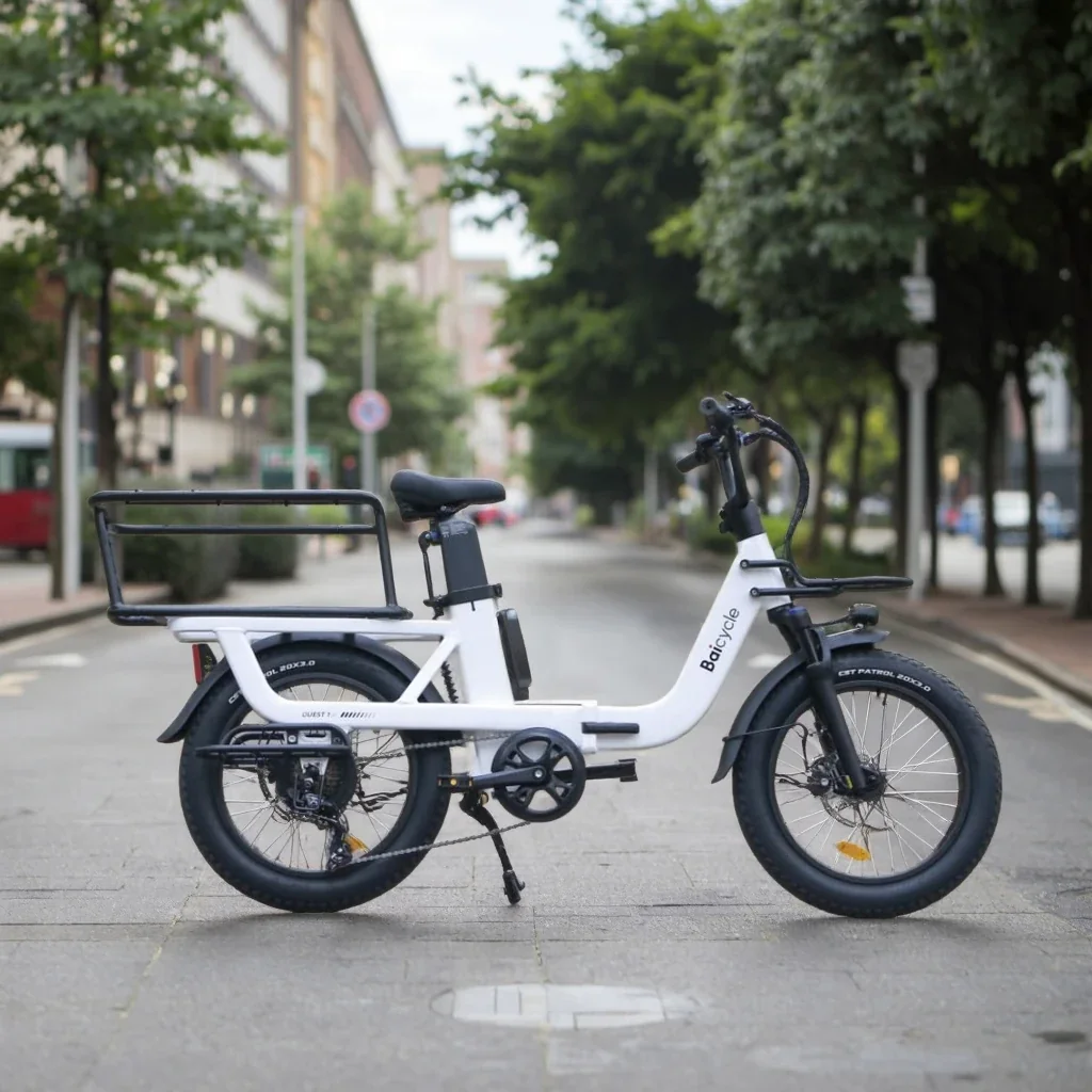 20-calowy elektryczny rower miejski typu cargo, OEM ODM, pełne zawieszenie, szerokie opony, 48 V