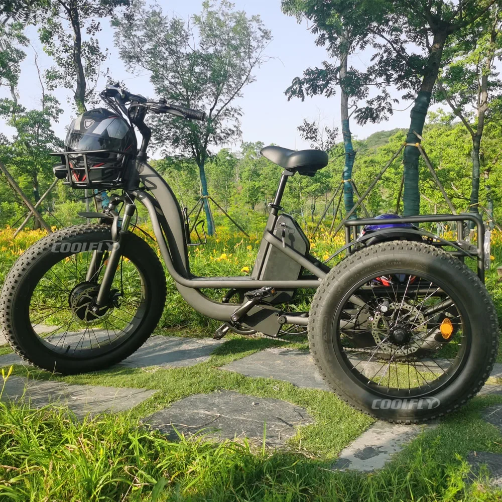 Wysokiej jakości 48V 750W 3-kołowy rower elektryczny cargo dla dorosłych