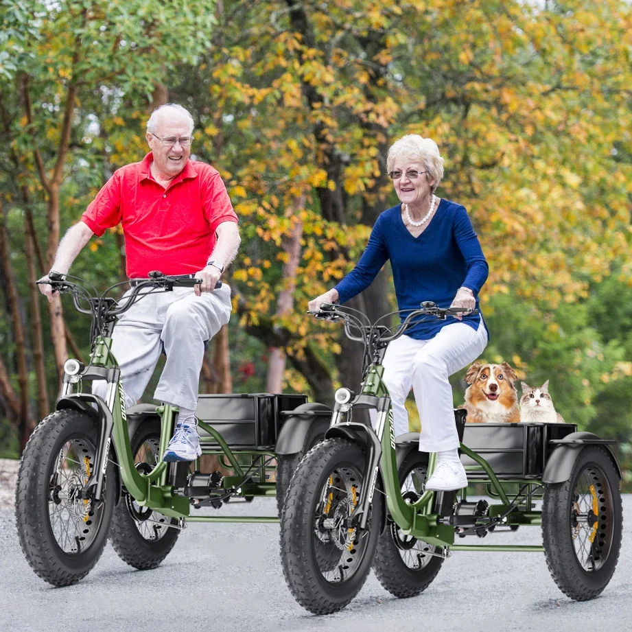 VIPCOO ET1 Elektryczny Trójkołowiec - 3-kołowy elektryczny trójkołowiec towarowy z grubymi oponami dla dorosłych