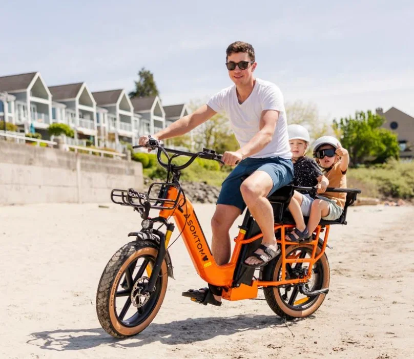 Lastenfahrrad mit bürstenlosem 48V 750W Hinterradnabenmotor, 15Ah Lithium-Akku, hydraulischen Scheibenbremsen und Aluminiumrahmen