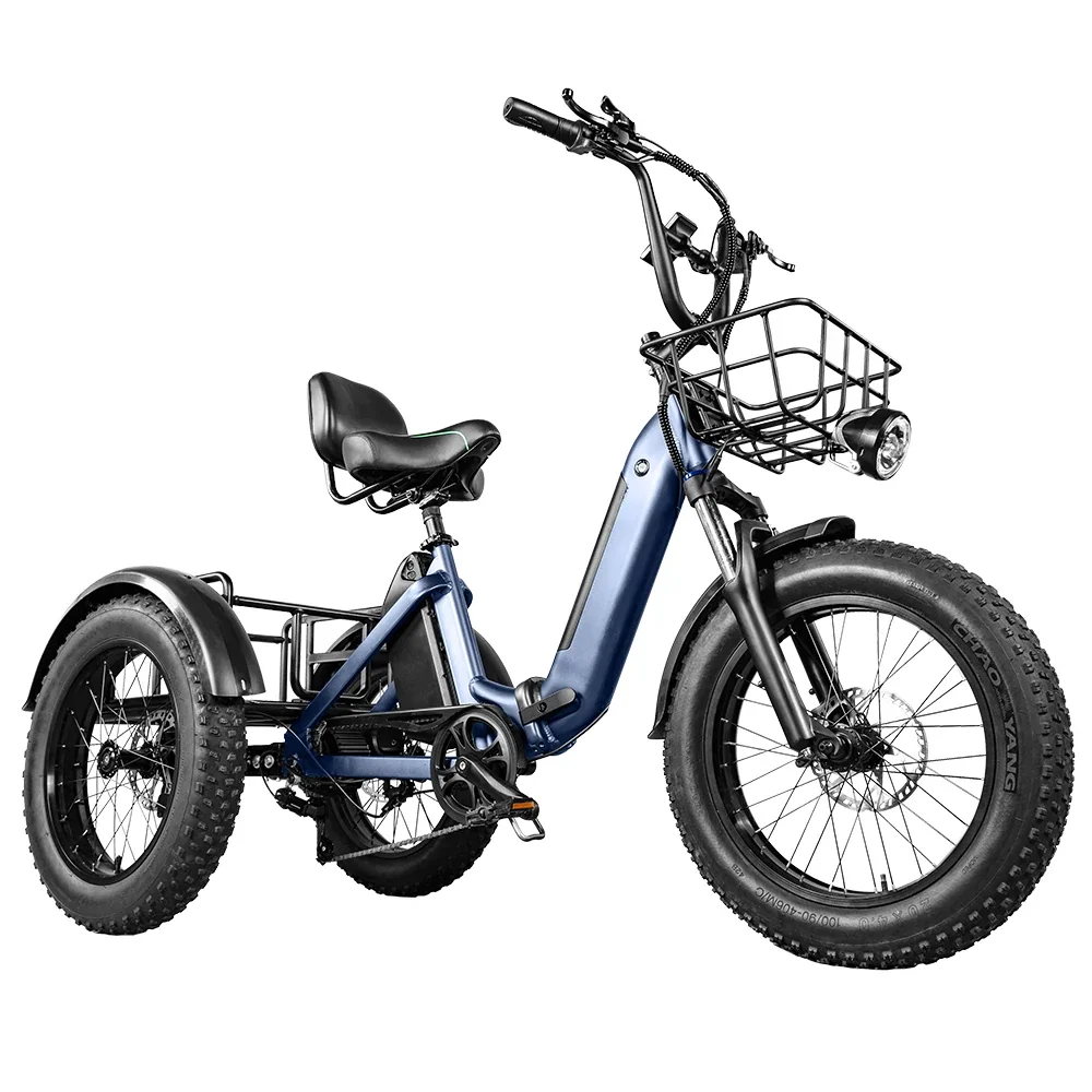 Tricycle électrique adulte en gros, moteur 500W/750W, batterie au lithium, vélo cargo à 3 roues, pneus larges